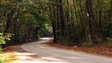 Scenic wooded roads Hungary