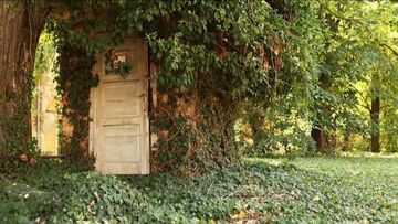Hungary hidden tree door